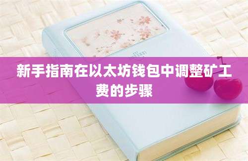 新手指南在以太坊钱包中调整矿工费的步骤