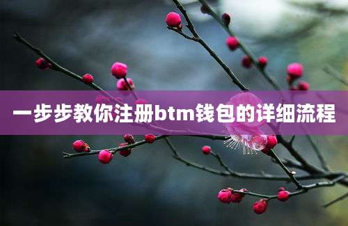 一步步教你注册btm钱包的详细流程