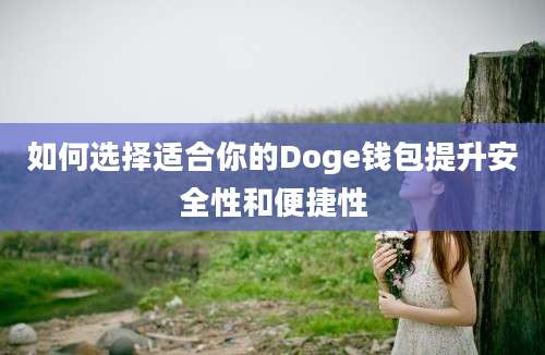 如何选择适合你的Doge钱包提升安全性和便捷性