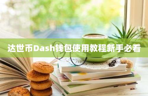 达世币Dash钱包使用教程新手必看