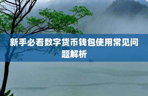 新手必看数字货币钱包使用常见问题解析