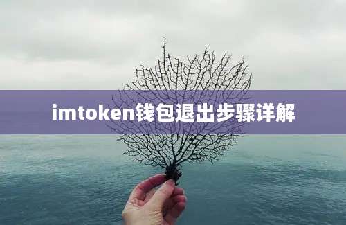 imtoken钱包退出步骤详解