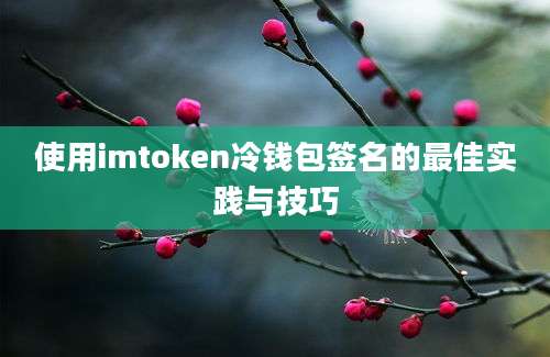 使用imtoken冷钱包签名的最佳实践与技巧