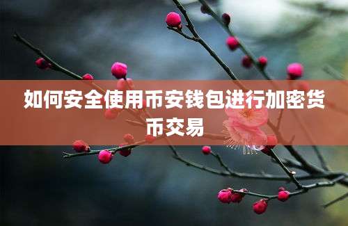 如何安全使用币安钱包进行加密货币交易