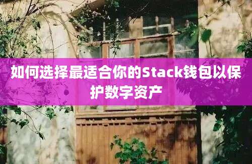 如何选择最适合你的Stack钱包以保护数字资产