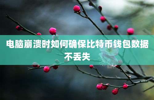 电脑崩溃时如何确保比特币钱包数据不丢失