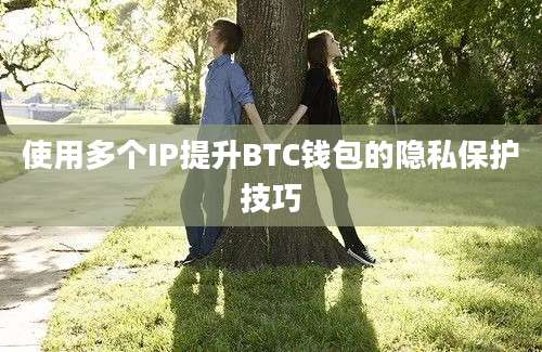 使用多个IP提升BTC钱包的隐私保护技巧