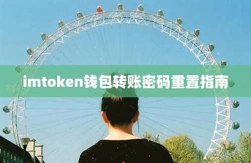 imtoken钱包转账密码重置指南