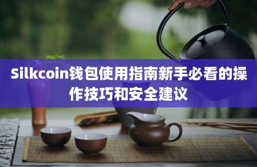 Silkcoin钱包使用指南新手必看的操作技巧和安全建议