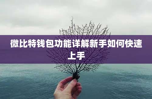 微比特钱包功能详解新手如何快速上手