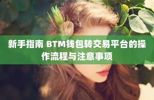 新手指南 BTM钱包转交易平台的操作流程与注意事项