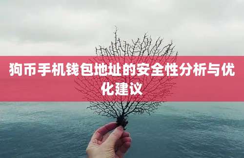 狗币手机钱包地址的安全性分析与优化建议