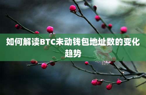 如何解读BTC未动钱包地址数的变化趋势