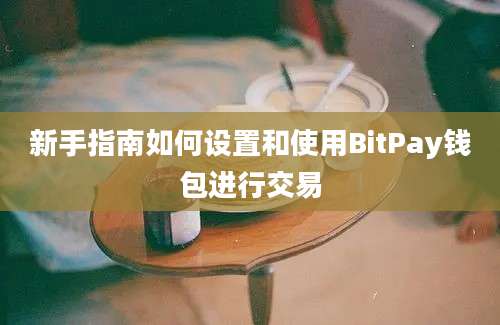 新手指南如何设置和使用BitPay钱包进行交易