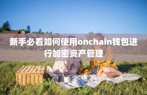 新手必看如何使用onchain钱包进行加密资产管理