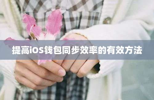 提高iOS钱包同步效率的有效方法