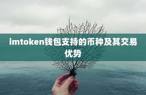 imtoken钱包支持的币种及其交易优势