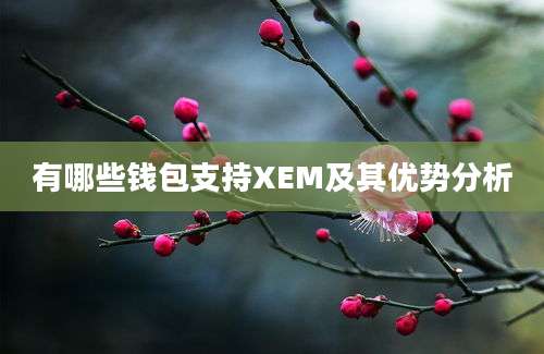 有哪些钱包支持XEM及其优势分析