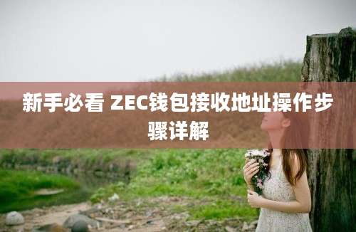 新手必看 ZEC钱包接收地址操作步骤详解