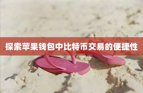 探索苹果钱包中比特币交易的便捷性