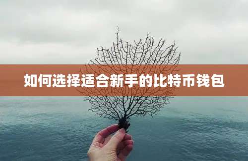 如何选择适合新手的比特币钱包