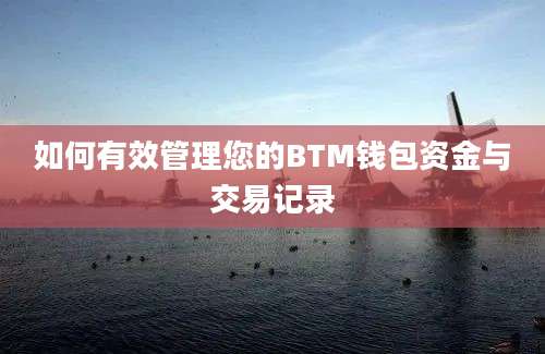 如何有效管理您的BTM钱包资金与交易记录