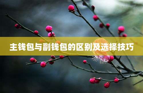 主钱包与副钱包的区别及选择技巧