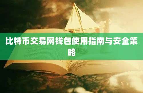 比特币交易网钱包使用指南与安全策略