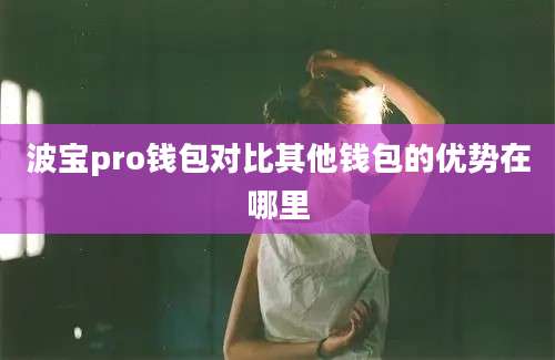 波宝pro钱包对比其他钱包的优势在哪里