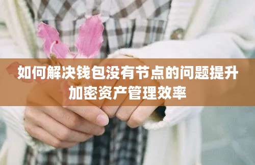 如何解决钱包没有节点的问题提升加密资产管理效率