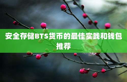 安全存储BTS货币的最佳实践和钱包推荐