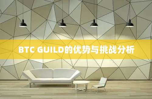 BTC GUILD的优势与挑战分析