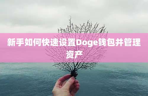 新手如何快速设置Doge钱包并管理资产