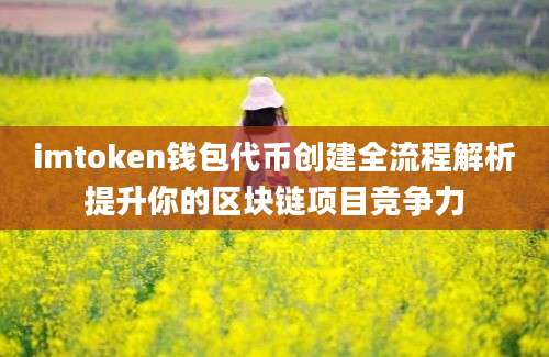 imtoken钱包代币创建全流程解析提升你的区块链项目竞争力