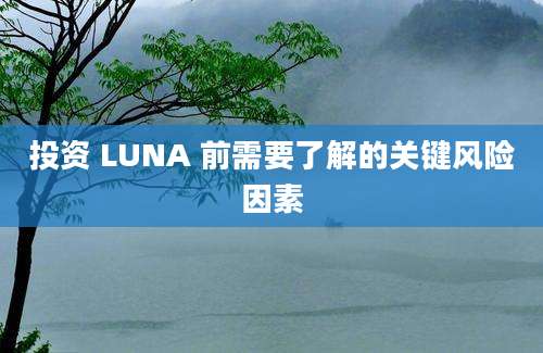 投资 LUNA 前需要了解的关键风险因素