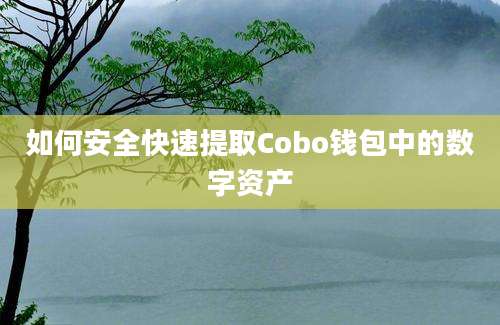 如何安全快速提取Cobo钱包中的数字资产