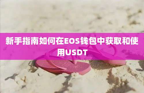 新手指南如何在EOS钱包中获取和使用USDT