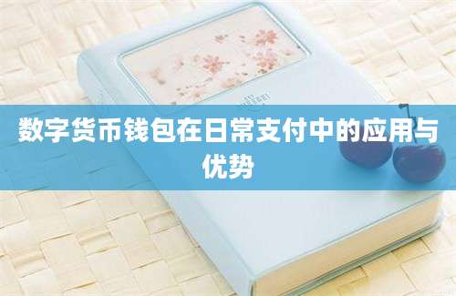 数字货币钱包在日常支付中的应用与优势