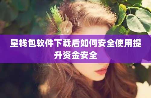 星钱包软件下载后如何安全使用提升资金安全