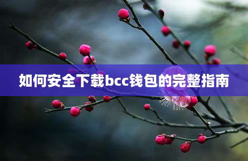 如何安全下载bcc钱包的完整指南