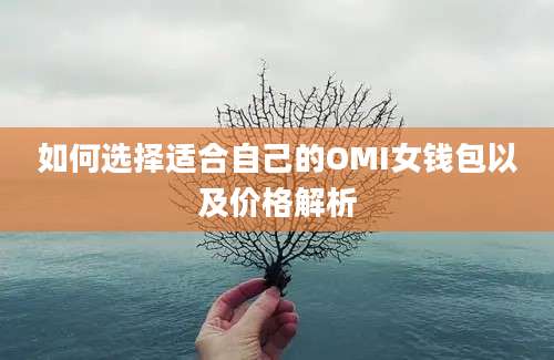 如何选择适合自己的OMI女钱包以及价格解析