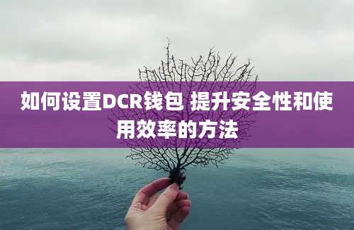 如何设置DCR钱包 提升安全性和使用效率的方法