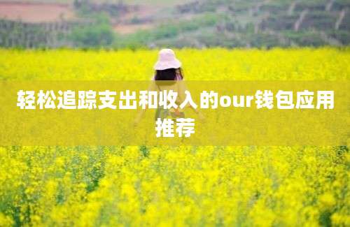 轻松追踪支出和收入的our钱包应用推荐