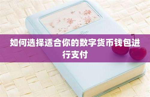 如何选择适合你的数字货币钱包进行支付