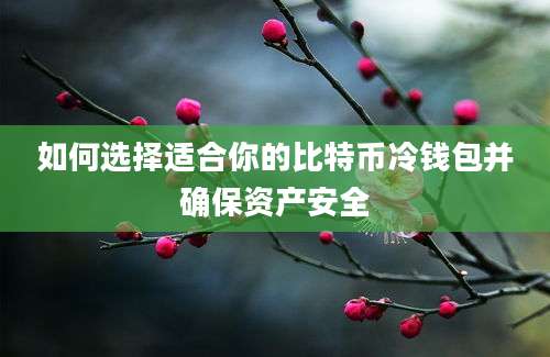 如何选择适合你的比特币冷钱包并确保资产安全