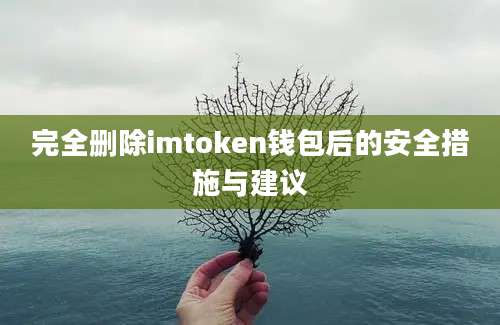 完全删除imtoken钱包后的安全措施与建议