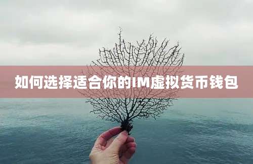 如何选择适合你的IM虚拟货币钱包