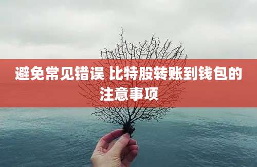 避免常见错误 比特股转账到钱包的注意事项