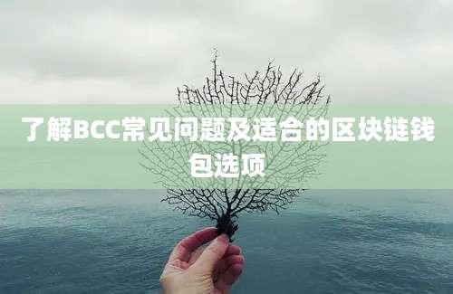 了解BCC常见问题及适合的区块链钱包选项