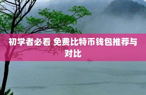 初学者必看 免费比特币钱包推荐与对比